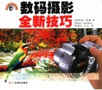 数码摄影全新技巧