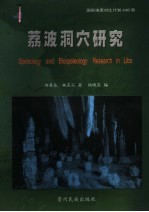 荔波洞穴研究