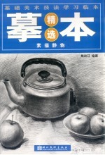 基础美术技法学习临本摹本精选 静物素描