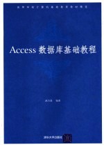 Access数据库基础教程