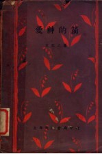 爱神的箭 第2版