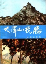 大泽山揽胜
