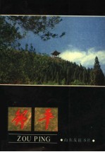 邹平
