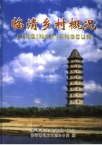 临清乡村概况