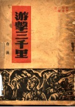 游击三千里
