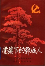党旗下的郓城人