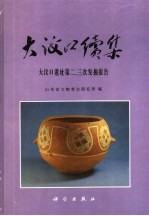 大汶口续集 大汶口遗址第二、三次发掘报告