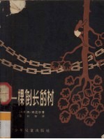一棵倒长的树
