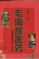 毛南族医药