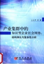 产业集群中的知识型企业社会网络 结构演化与复杂性分析
