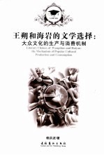 王朔和海岩的文学选择 大众文化的生产与消费机制
