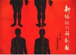 新编经穴解剖图