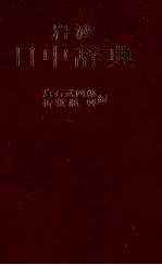 岩波 日中辞典