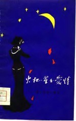 火把·星星·爱情 诗歌集