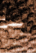 许学四书 说文引经异字 卷上 1