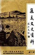 集美文史资料 第11辑 纪念辛亥革命90周年专辑