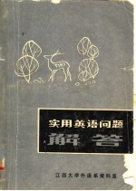 实用英语问题解答 资料选编