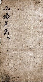小题芝兰 下