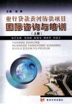 亚行贷款黄河防洪项目国际咨询与培训 上