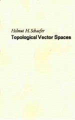 TOPOLOGICAL VECTOR SPACES