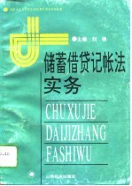 储蓄借贷记帐法实务