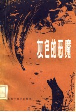 灰色的恶魔