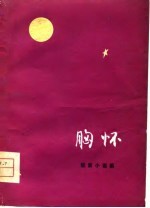 胸怀 短篇小说集