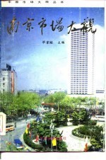 南京市场大观