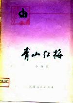 青山红梅 小扬剧
