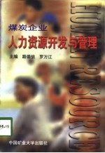 煤炭企业人力资源开发与管理
