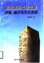 新加坡现代化之路 进程、模式与文化选择