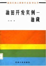 油田开发实例-油藏