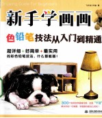 新手学画画,色铅笔技法从入门到精通