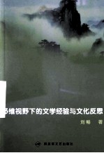 多维视野下的文学经验与文化反思