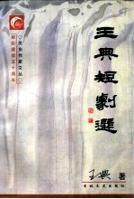 王典短剧选