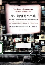 大石缝镇的小书店