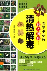 养生中草药速查图典 清热解毒