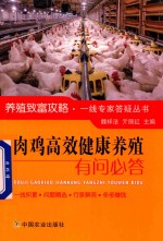 肉鸡高效健康养殖有问必答