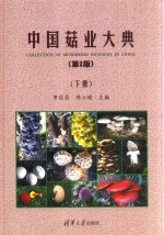 中国菇业大典 第2版 下