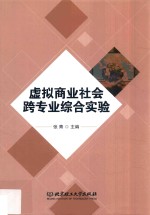 虚拟商业社会跨专业综合实验