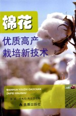 棉花优质高产栽培新技术