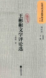 江苏当代文学批评家文丛 第2辑 王彬彬文学评论选