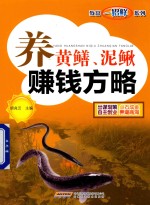 养黄鳝 泥鳅赚钱方略