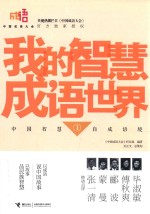 我的智慧成语世界 1