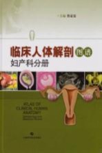 临床人体解剖图谱 妇产科分册
