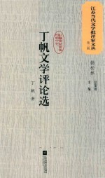 江苏当代文学批评家文丛 第2辑 丁帆文学评论选