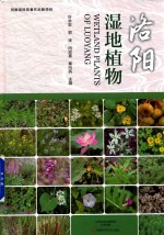 洛阳湿地植物