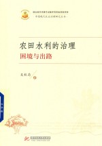 农田水利的治理 困境与出路
