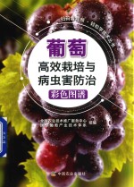 轻松学技术丛书 葡萄高效栽培与病虫害防治彩色图谱