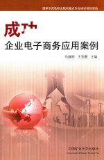 成功企业电子商务应用案例